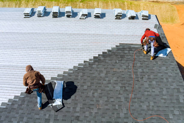 Best Gutter Installation and Roofing  in Muse, PA